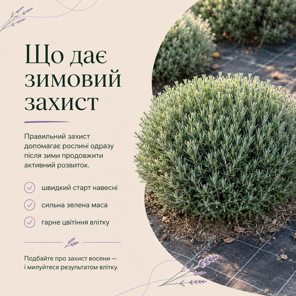 Захисний чохол для лавандину на зиму ZFSL фото